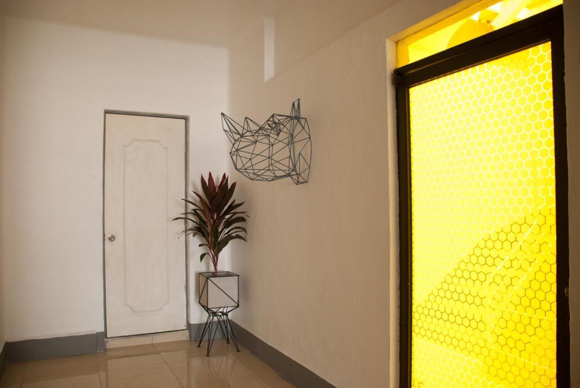 Wanderlust District Bed and Breakfast Mexico City Exteriör bild